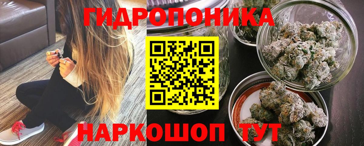 Конопля семена  Канабис Bruce Banner  Каннабис конопля  Азнакаево  Бошки Шишки сатива  Вход с VPN 